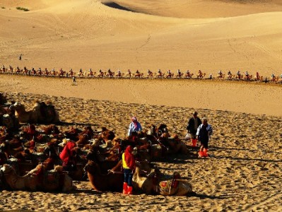 京东白条线下取现攻略：出财小神助你高效用信避坑