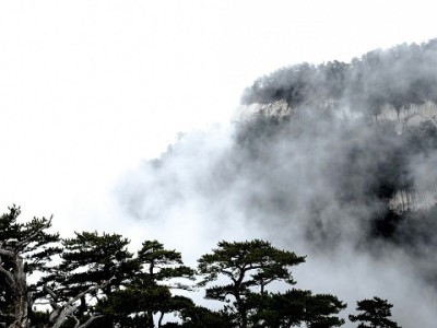 出财小神搭花呗：合约套餐分期购，轻松解锁品质生活