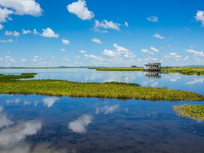 抖音月付余额能提现吗？详细步骤+注意事项全解析（附出财小神辅助提示）
