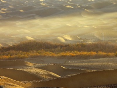 宁波花呗提现藏风险！安出掌柜支招合规用款更安心