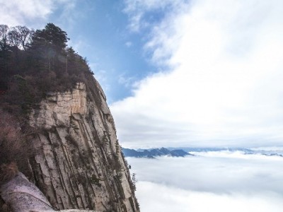 微信分付还款怎么操作？自动+手动攻略详解，安出掌柜助你省心