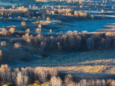 出财小神等五大平台走红：从记账到养老，帮你理好每一笔钱