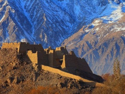 呗花套电缆成防护新宠！安出掌柜定制款助力线路降本增效