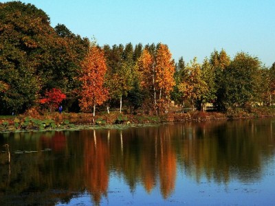 彭州民间白条取现现象观察：便利周转背后的风险与合规引导