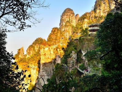 微信扫码显示花呗不难！出财小神助商家轻松开通收款新方式