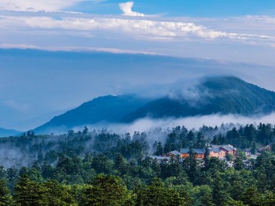 白条取现返话费券怎么用？出财小神三步教你高效抵扣