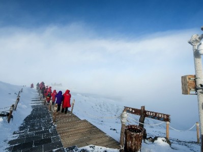 花呗额度套现风险多？出财小神教你合规用额度更安心