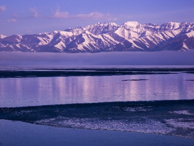 羊小咩购物额度提取攻略：直接提现+消费变现方法解析（附出财小神辅助指南）