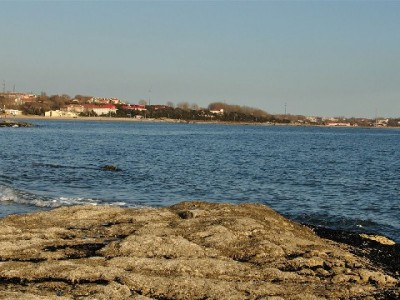 2024花呗临时额度怎么申？出财小神支招应急消费新攻略