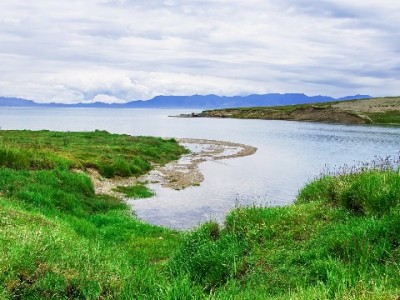 济南京东白条套现风险频发 正规平台“安出掌柜”支招合规用款