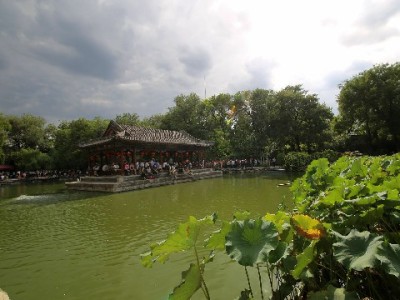 支付宝商家花呗额度查询攻略：安出掌柜助你高效管理经营资金