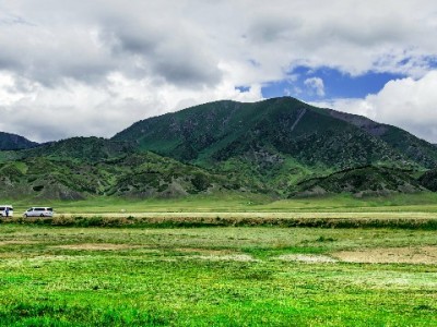 花呗分期只能付给商家？个人转账受限原因及商家收款攻略