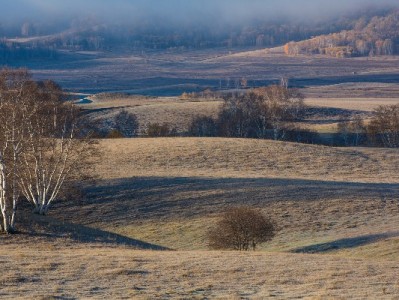 宜昌严查医保套现乱象 安出掌柜提醒：合规借贷勿触法律红线
