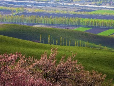 商家花呗支付收费规则全解析：安出掌柜助你明明白白算账