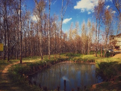 医保卡套现暗藏多重风险！正规资金周转渠道更可靠