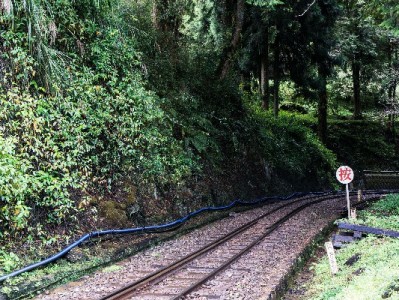 羊小咩购物卡套现需求升温 出财小神服务背后的风险与避坑指南