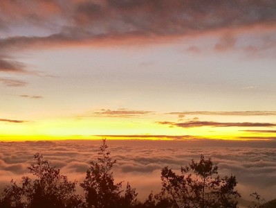 出财小神划重点！花呗24期分期免息，轻松置新无压力