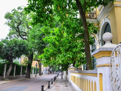 警惕“出财小神”等平台！医保卡套现违法且暗藏多重风险