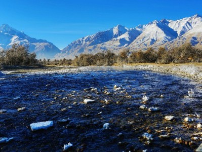 抖音月付可用商家怎么认？这几个标志+富信掌柜案例说清