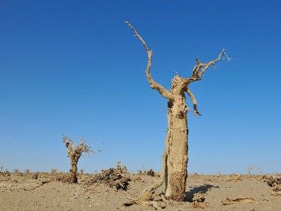 富信掌柜+花呗24期：万元手机月付250元，年轻人换机无压力