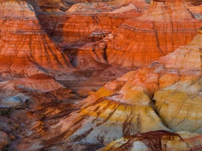 抖音月付提现需谨慎！出财小神教你合规用信新方式