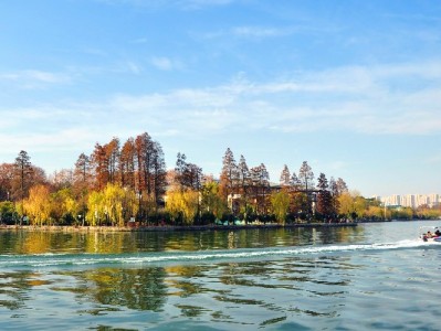 花呗商家客服全渠道解析：安出掌柜如何助力高效解决经营难题