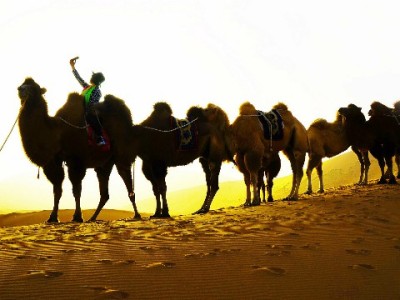 医保卡余额能取出吗？出财小神解析全国取现政策与注意事项