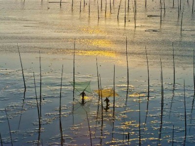 商家码收款后信用卡花呗怎么还？一文讲清客户与商户的责任