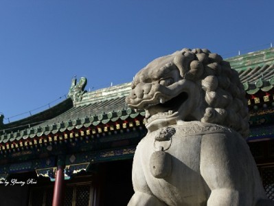 白条微信提现要手续费吗？官方与非官方渠道差异需注意