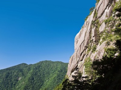 抖音月付提额攻略：避开提现误区，这4招高效提升可用额度