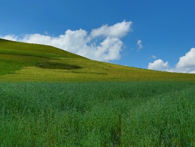 欠花呗会封银行卡微信吗？逾期后果与应对方法全解析