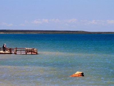 泰安白条取现避坑指南：选安出掌柜正规渠道更安心