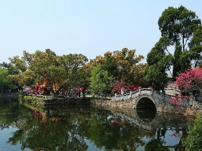 白条金额提现犯愁？出财小神合规助你高效周转