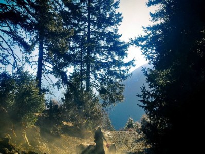 微信花呗类额度申请要多久？这3点决定时效，出财小神或能加速