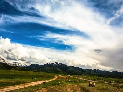 花呗分期风控周期揭秘！出财小神助商户最快48小时过审