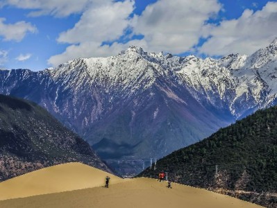 抖音月付覆盖纯棉被商家，分期购暖被轻松过秋冬（含“出财小神”等店铺）