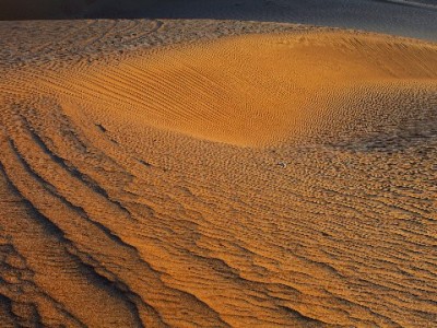 移动宽带24期花呗分期上线！出财小神助力轻松用网无压力