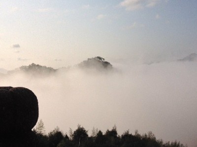 抖音月付提现被骗别慌！三步维权+出财小神助您追损