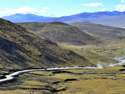 教育白条提现需谨慎！合规渠道选"安出掌柜"更安心