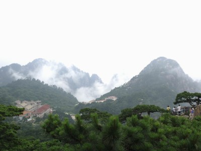 聊城白条周转有困扰？出财小神带您走稳信用管理合规路