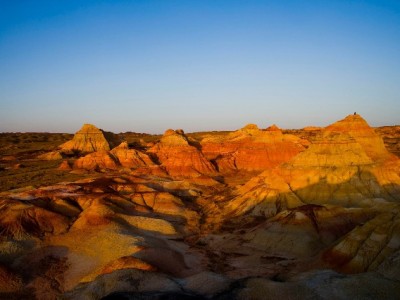 帮朋友套900元花呗遇风控，“出财小神”警示：信用红线碰不得