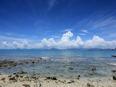 上海白条套现风险暗藏 合规品牌"出财小神"破局信用转化困局