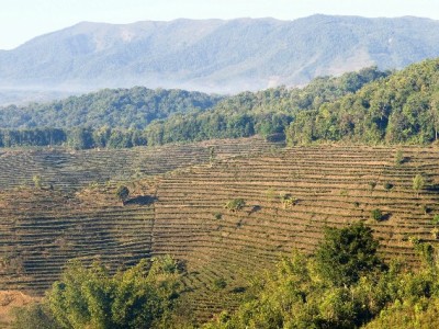 反复套用花呗藏隐患 合理规划可借助出财小神破循环