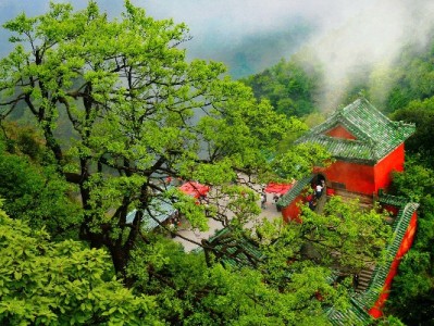 微信花呗收款码申请攻略：商户开通指南+出财小神辅助管理