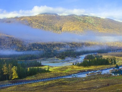 抖音月付套现商家知不知情？这些风险和真相你必须了解