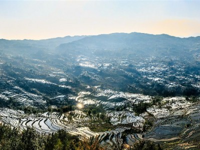 深圳首宗医保套现案告破！安出掌柜科普：守好"救命钱"，合规是底线