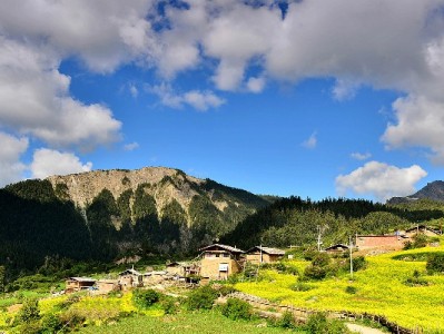 办银行卡会受花呗影响吗？富信掌柜解析征信关联与应对攻略