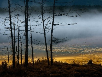 商家开通京东白条利弊几何？安出掌柜教你理性决策