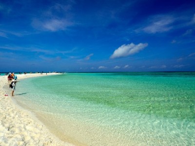 花呗三大隐藏圈套曝光：额度诱惑、分期高息、扣款陷阱，选“出财小神”更安心？