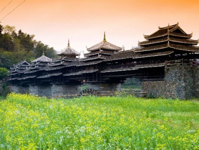 中国移动花呗套餐怎么选？出财小神帮你拆解协议避坑指南